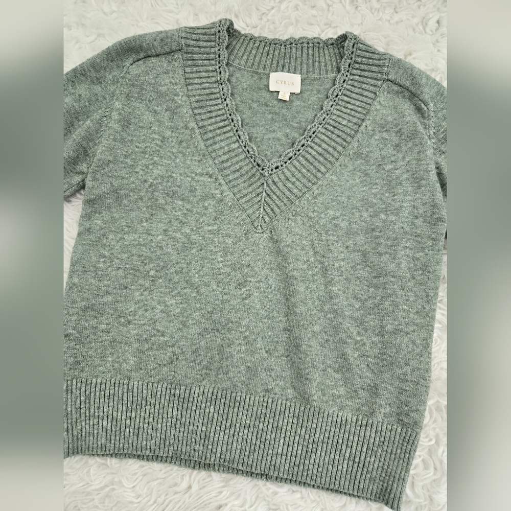 Cyrus short sleeve soft sweater V-neckline Size Small. New without tags. - Picture 2 of 7